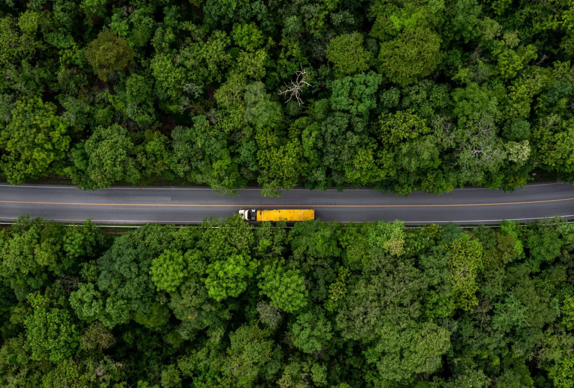 Flygfoto av gul lastbil som kör genom en väg i skogen.